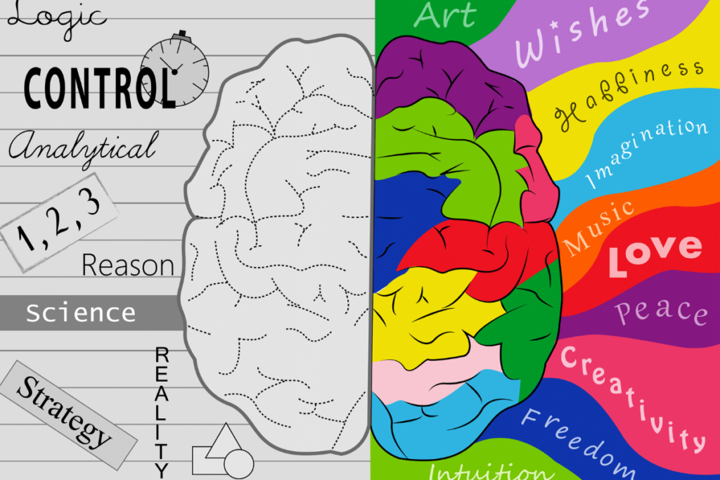 Illustration d'un cerveau d'un côté montrant le contrôle, la science, la réalité et de l'autre illustrant ce qui est lié au plaisir, l'amour, la créativité, les câlins etc.