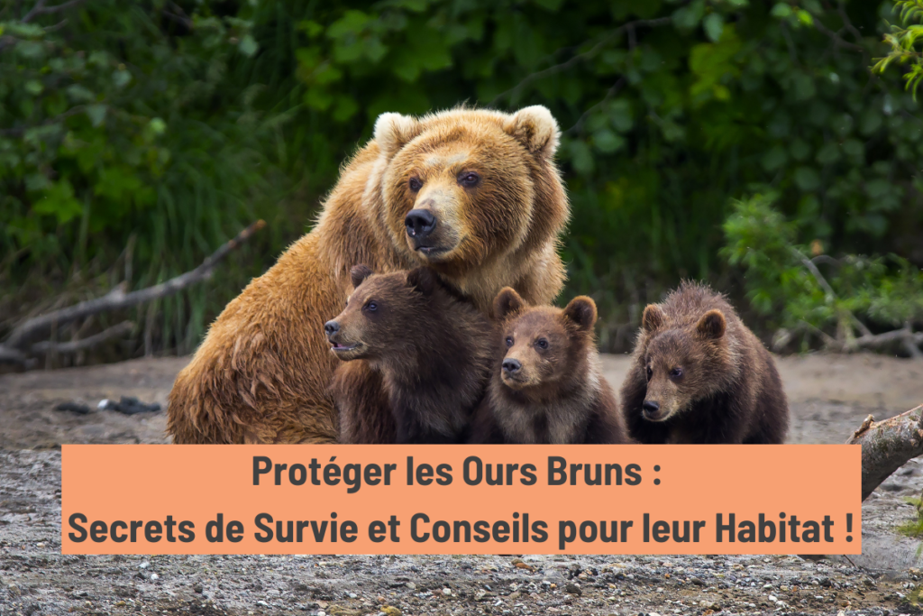 Une maman ours et ses trois petits oursons dans leur habitat naturel. La photo montre le lien protecteur entre une mère et ses enfants, les protégeant du danger.