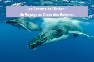 Les Secrets de l'Océan : Un Voyage au Cœur des Baleines. Une baleine accompagnée de son petit baleineau entrain de nager sous l'eau.